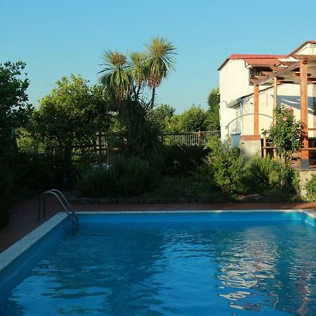 Villa Desiderio D'Ammore à Corbara  Extérieur photo