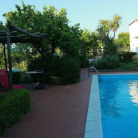 Villa Desiderio D'Ammore à Corbara  Extérieur photo