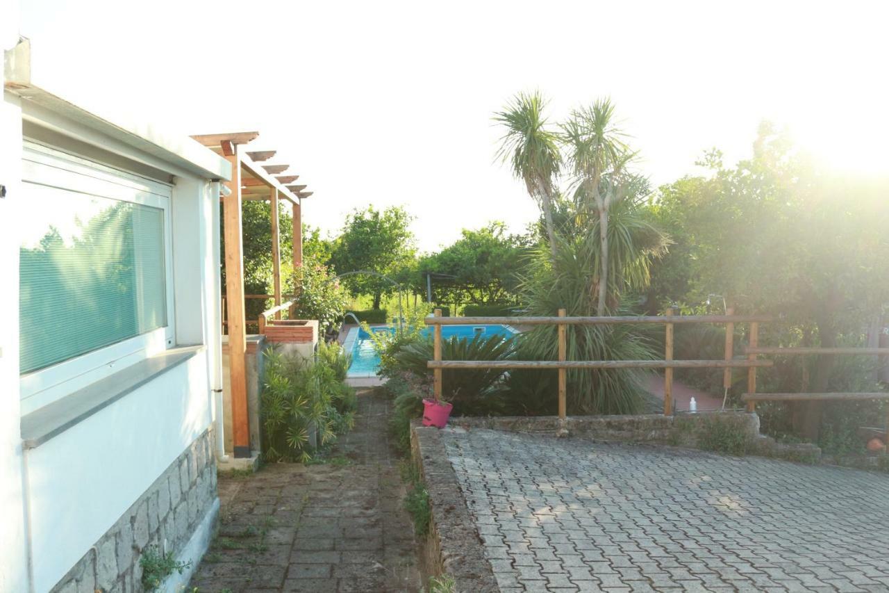 Villa Desiderio D'Ammore à Corbara  Extérieur photo