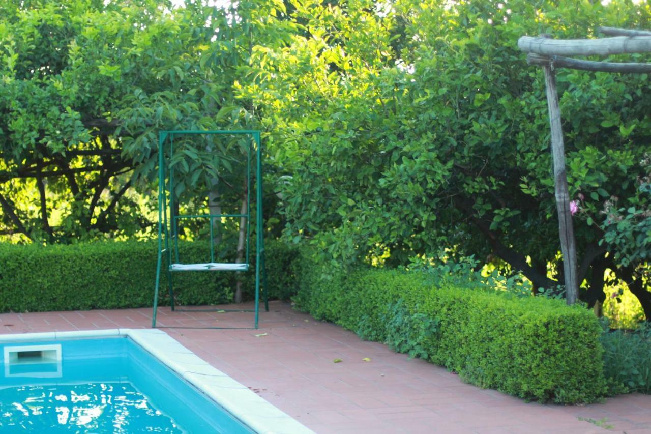 Villa Desiderio D'Ammore à Corbara  Extérieur photo