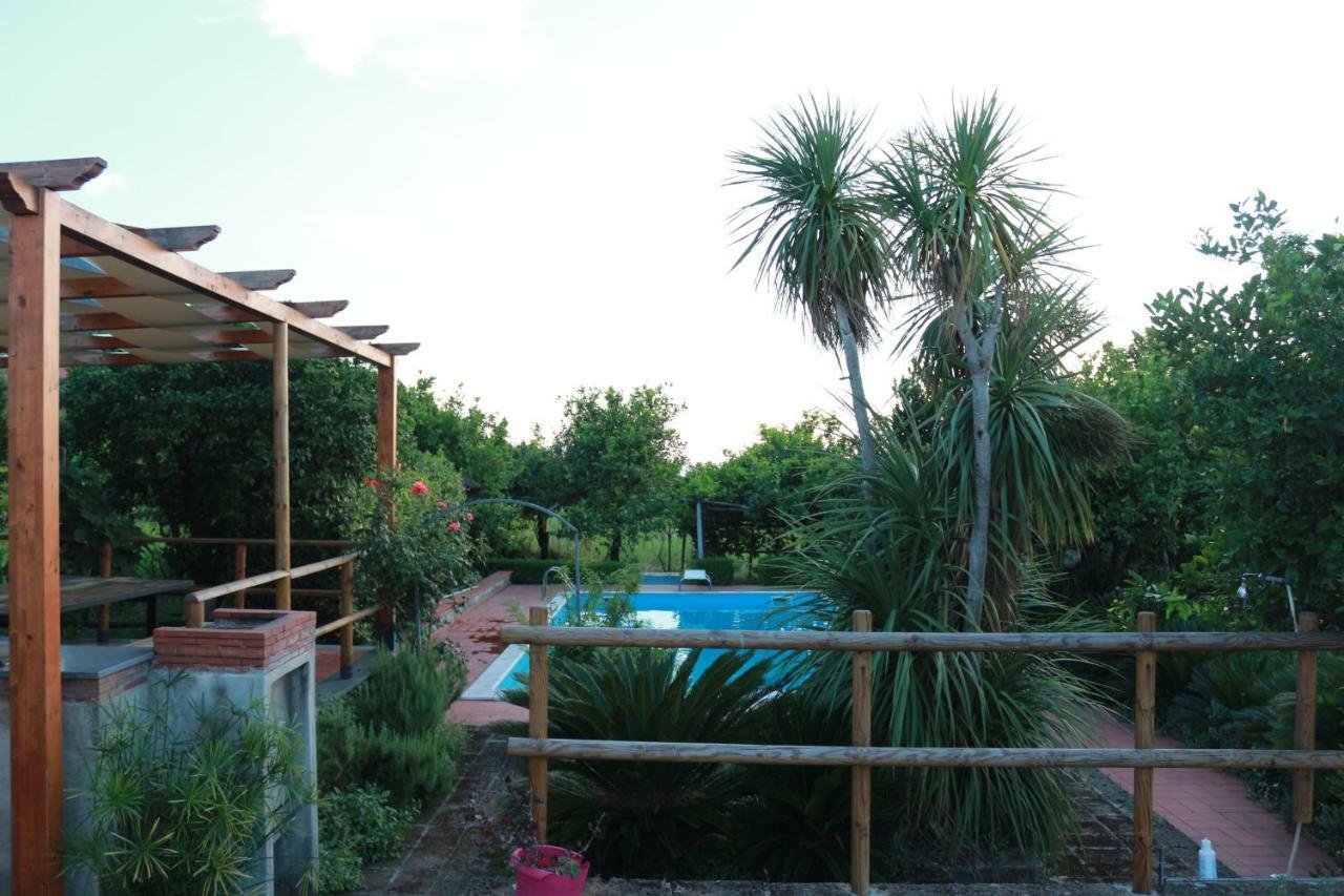 Villa Desiderio D'Ammore à Corbara  Extérieur photo