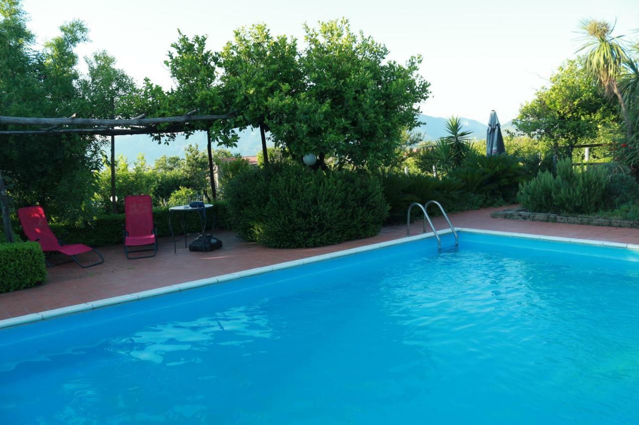 Villa Desiderio D'Ammore à Corbara  Extérieur photo