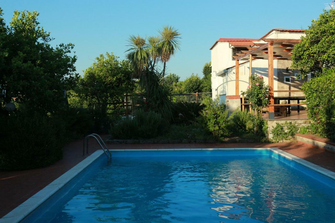 Villa Desiderio D'Ammore à Corbara  Extérieur photo
