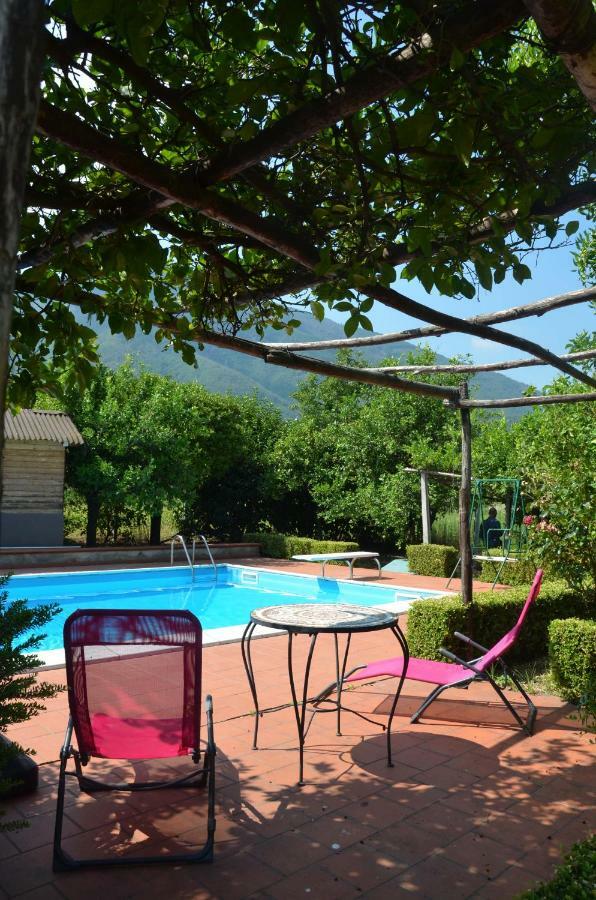 Villa Desiderio D'Ammore à Corbara  Extérieur photo
