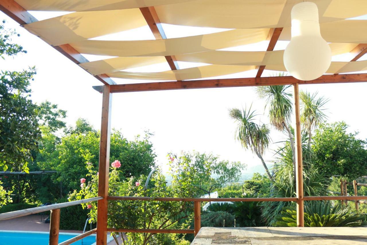 Villa Desiderio D'Ammore à Corbara  Extérieur photo