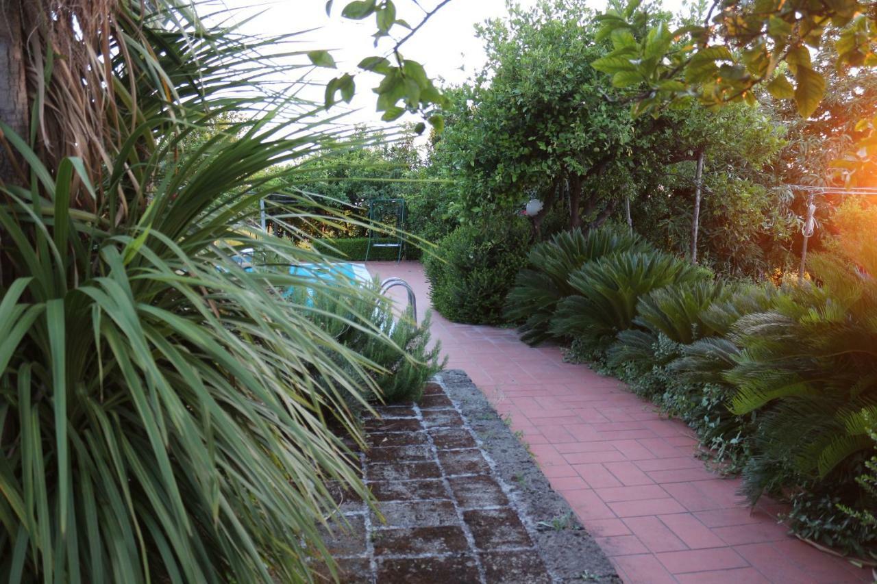 Villa Desiderio D'Ammore à Corbara  Extérieur photo