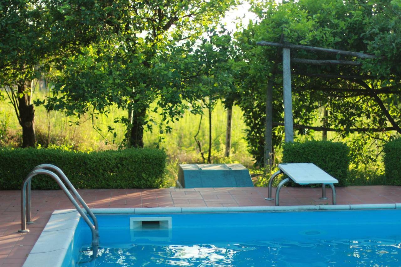 Villa Desiderio D'Ammore à Corbara  Extérieur photo